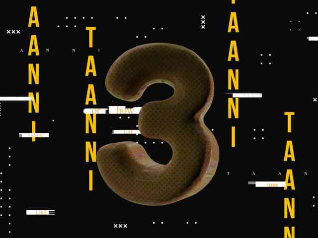 Taanni webcam