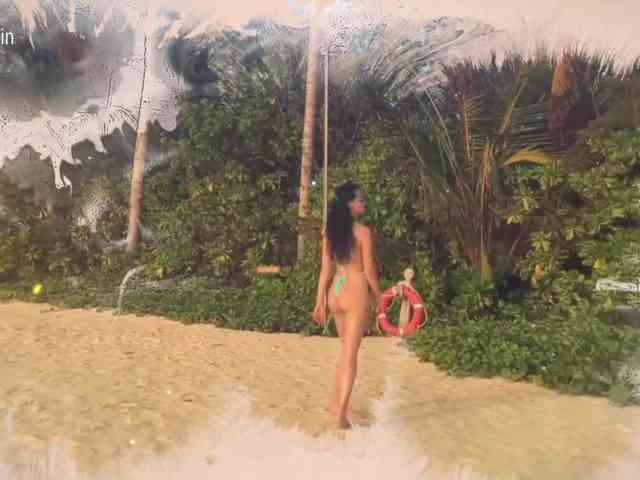 Taanni webcam