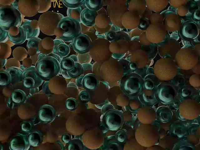 Модель: Taanni