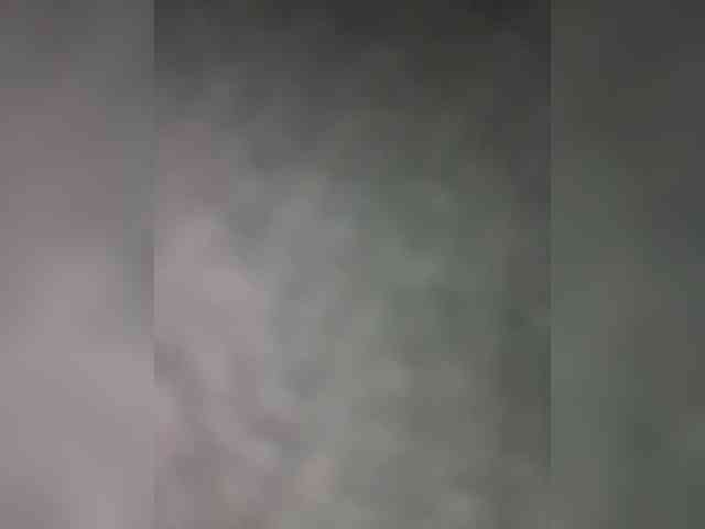 Taanni webcam