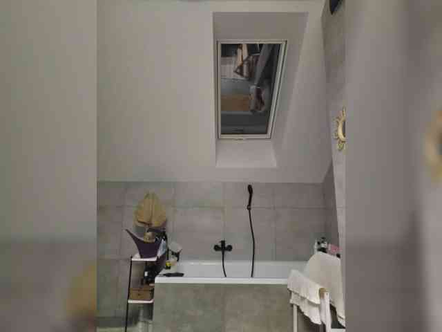 Taanni webcam