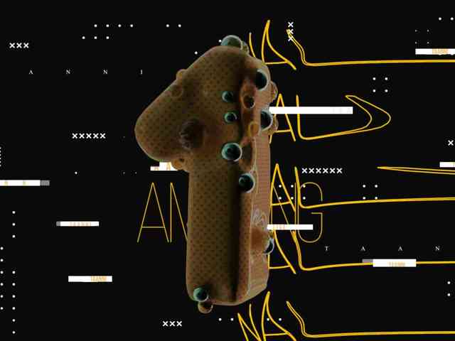 Taanni webcam