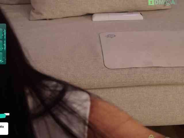 Taanni webcam