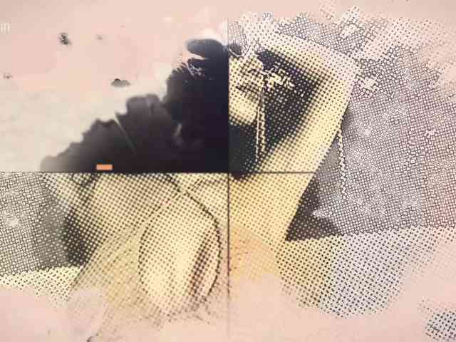 Taanni webcam