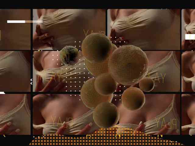 Taanni webcam