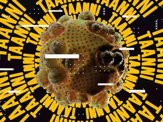 Модель: Taanni