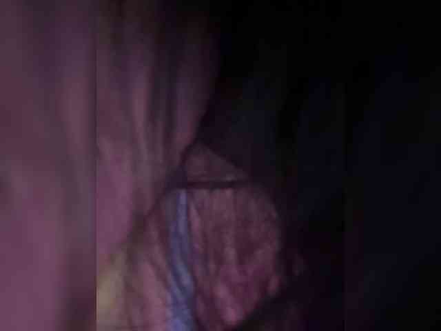 Taanni webcam