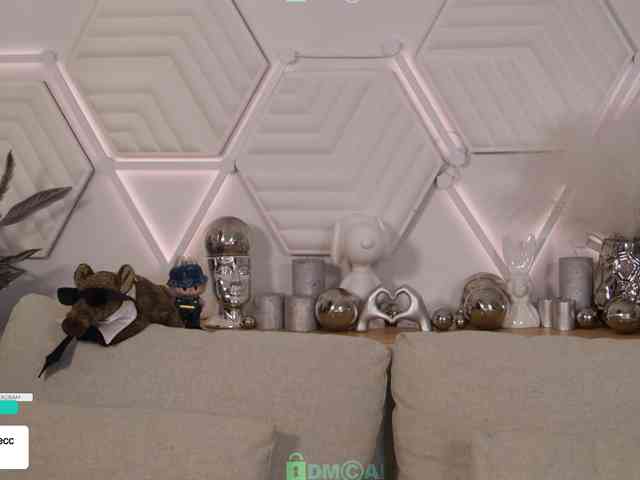 Taanni webcam