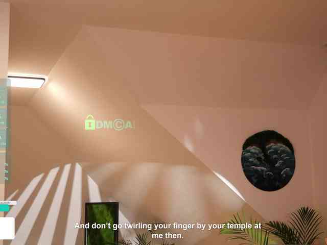 Taanni webcam