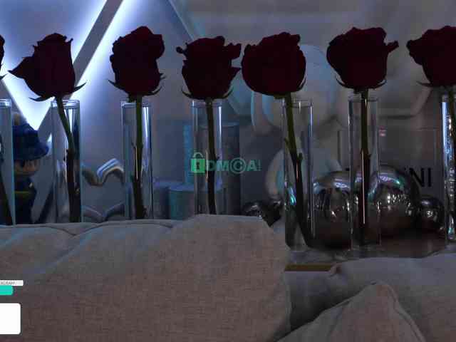 Taanni webcam