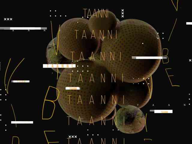 Taanni webcam