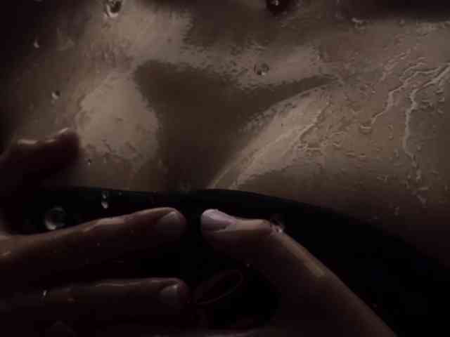 Taanni webcam