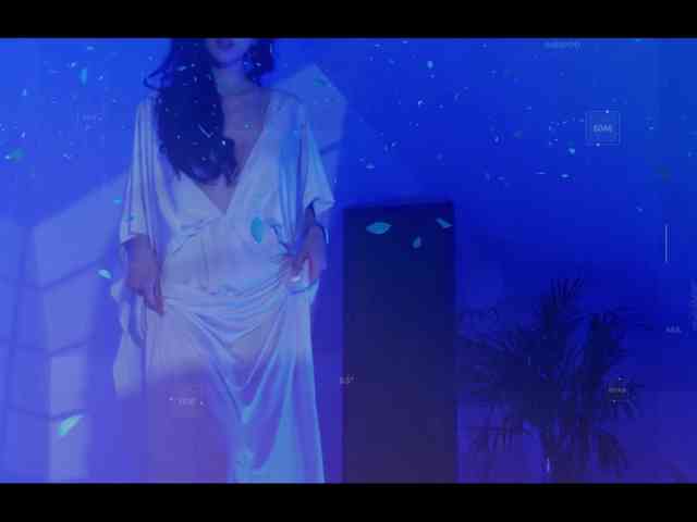 Taanni webcam
