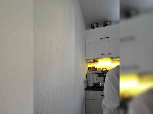 Taanni webcam