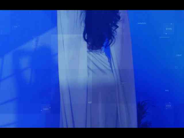 Taanni