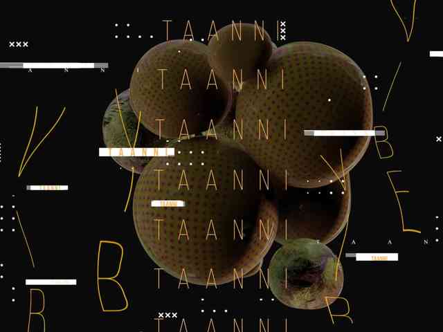 Taanni webcam