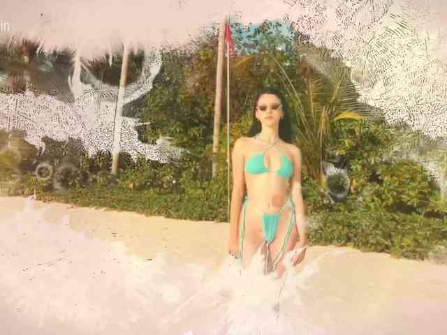 Taanni webcam