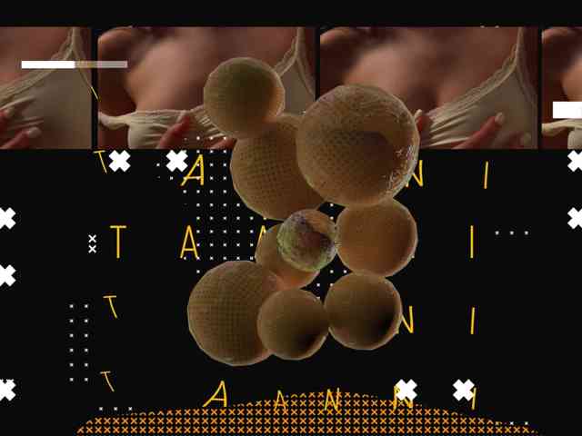 Taanni