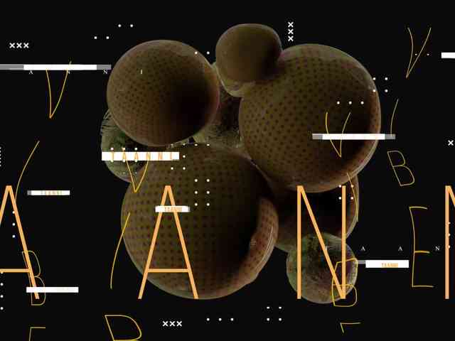 Модель: Taanni