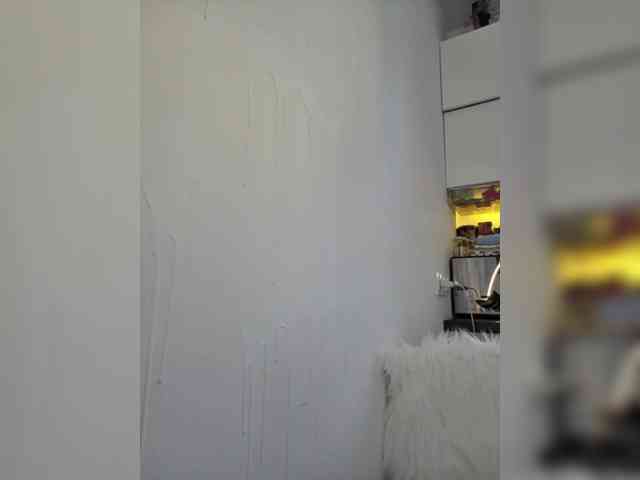 Taanni webcam