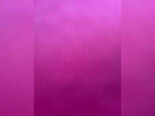 Taanni webcam