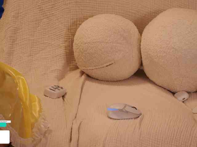 Taanni webcam