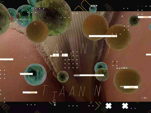 Модель: Taanni