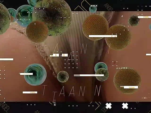 Taanni