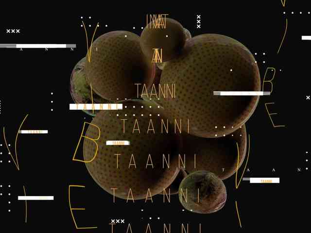Taanni