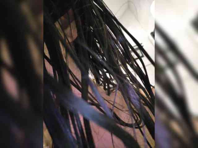 Taanni webcam