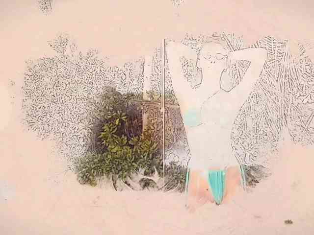 Taanni webcam