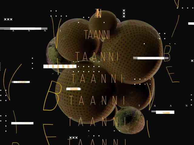 Модель: Taanni