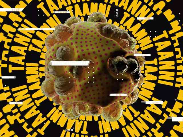 Taanni webcam