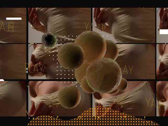 Taanni webcam