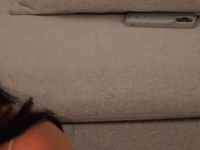 Taanni webcam