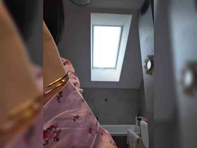 Taanni webcam