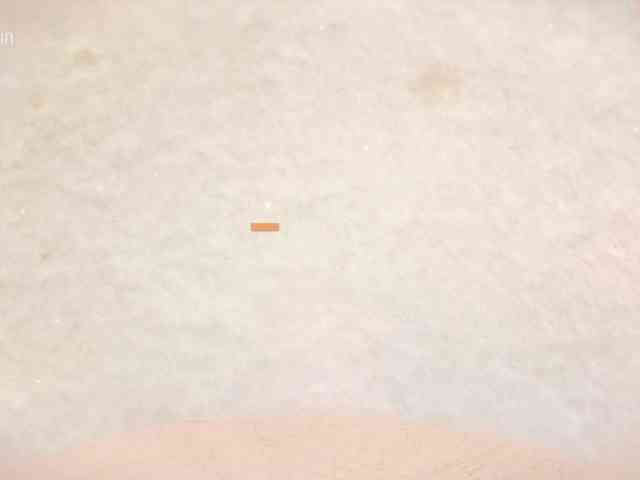 Taanni webcam