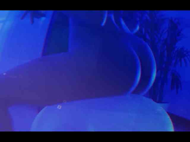 Taanni webcam