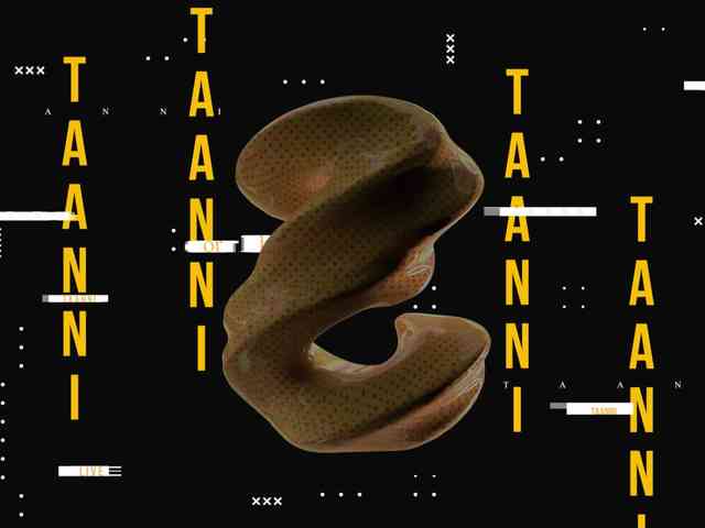 Taanni 