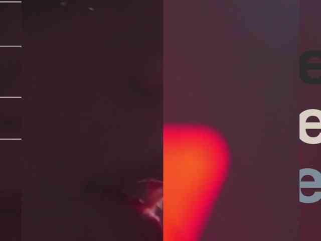 Taanni webcam