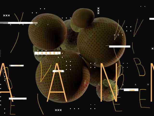 Модель: Taanni