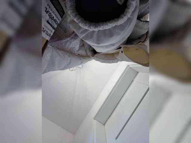Taanni webcam