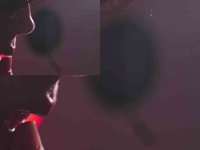 Taanni webcam