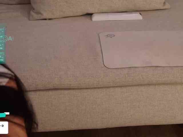 Taanni webcam