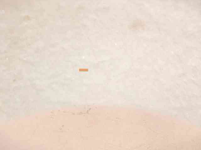Taanni webcam