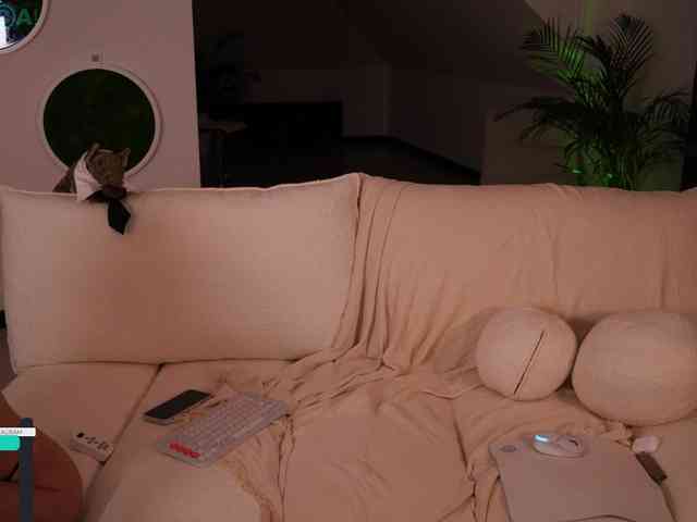 Taanni webcam