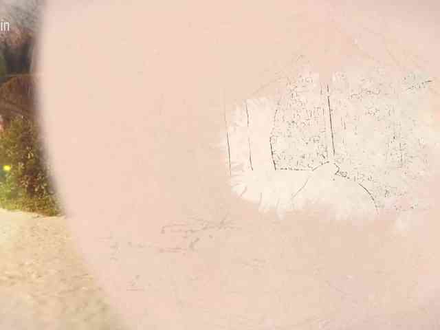 Taanni webcam
