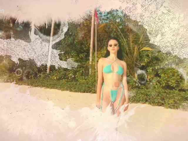 Taanni webcam
