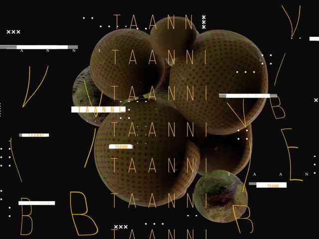 Модель: Taanni
