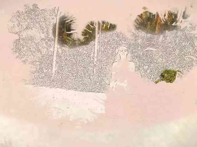 Taanni webcam